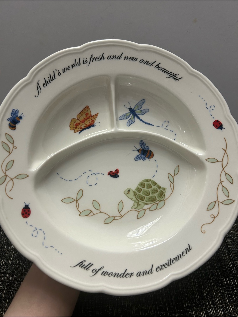 Lenox Butterfly Meadow Baby Divided Kids Dish with Turtle & Bug Motif